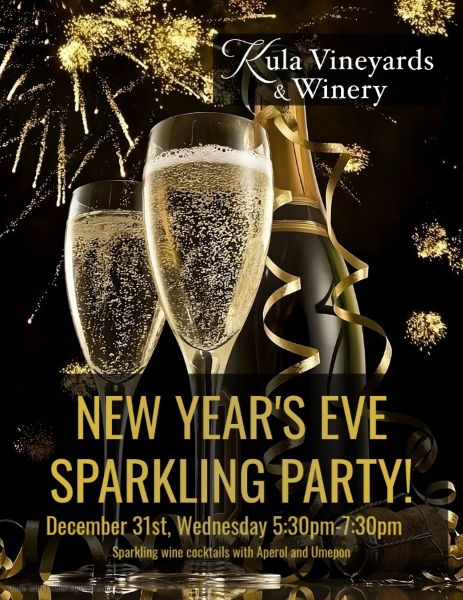 new-years-eve-sparkling-cocktail-party