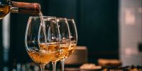 fall-2025-wine-club-pickup-party